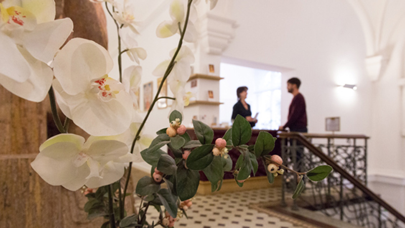 _E7C3305GangEmpfangBlumeWeb800x450