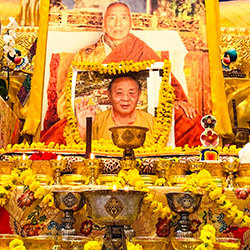 Paying respect to Sogyal Rinpoche last Lerab Ling, France