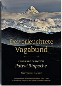 Buchcover: "Der erleuchtete Vagabund. Leben und Lehre von Patrul Rinpoche." von Matthieu Ricard